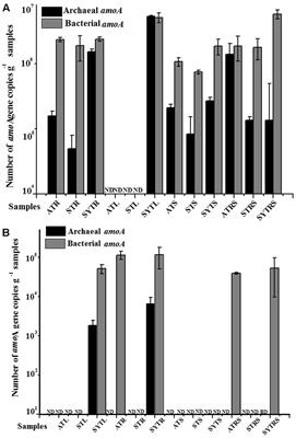 Community Composition and Transcriptional Activity of Ammonia-Oxidizing Prokaryotes of Seagrass Thalassia hemprichii in Coral Reef Ecosystems